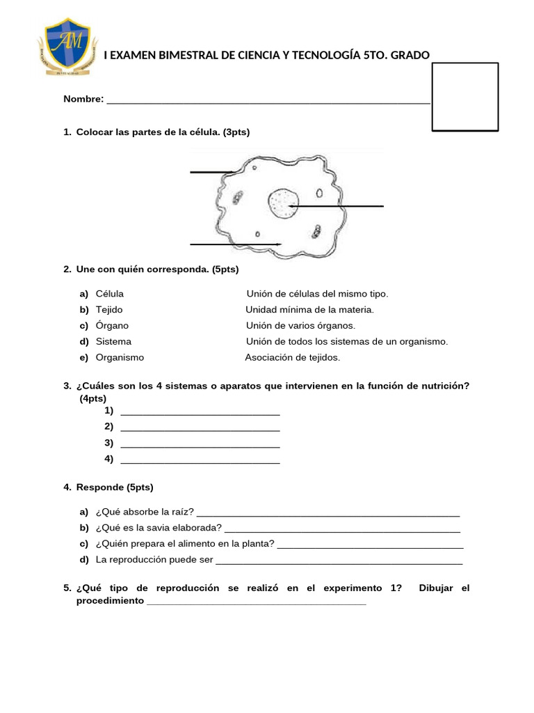I Examen Bimestral de Ciencia y Tecnología 5to | PDF
