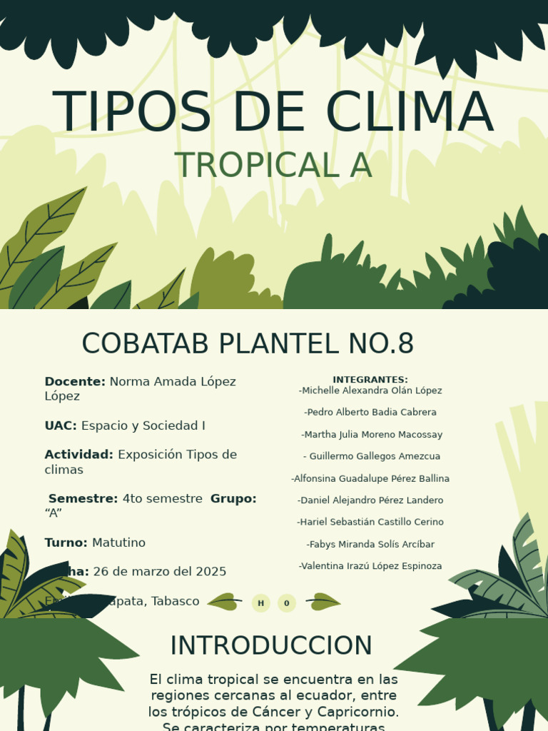 Características del Clima Tropical A | PDF | Zona tropical | Sabana