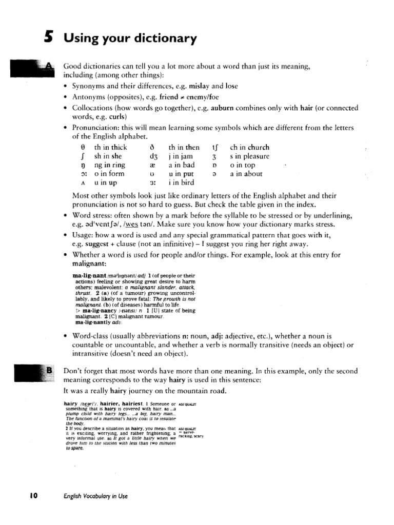 2.2 - Using Your Dictionary | PDF