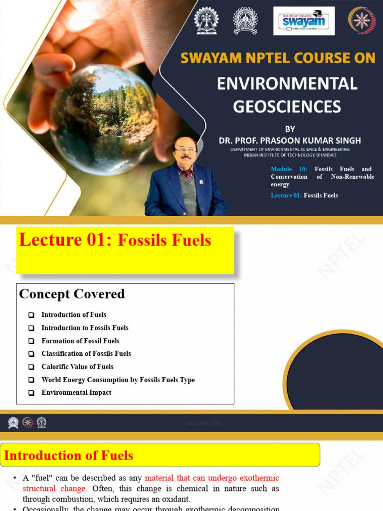Fossil Fuels: Types and Environmental Impact | PDF | Fuels | Coal