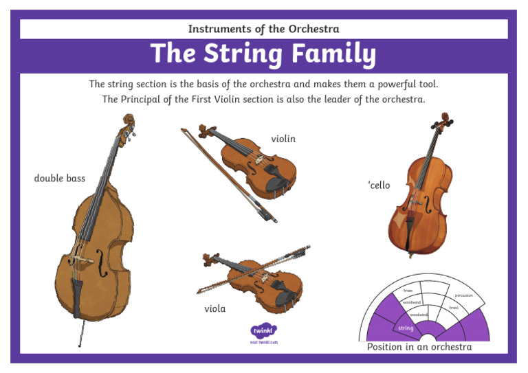 Orchestra Instruments String Family Poster A3 Pdf