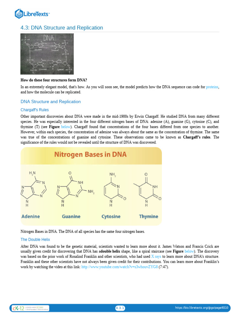 DNA Structure and Replication | PDF | Dna | Nucleotides