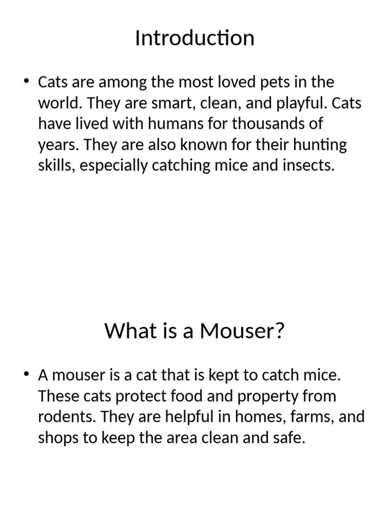 Cat Project Presentation | PDF