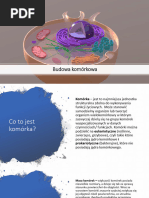 budowa-komorki-eukariotycznej-pdf