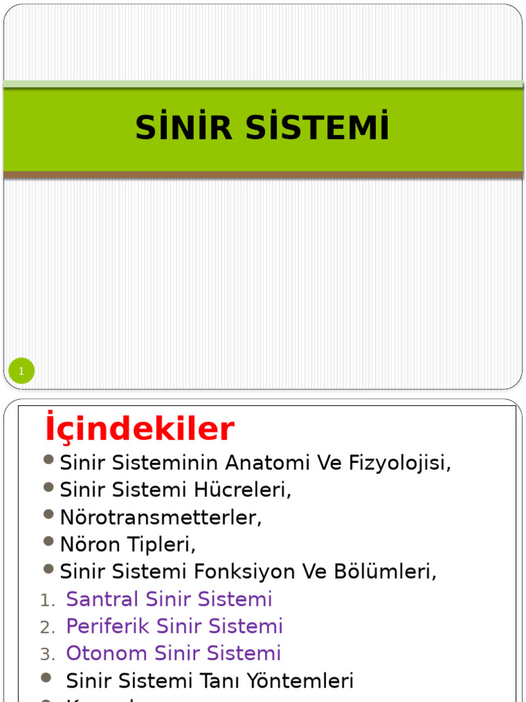Sinir Sistemi Cerrahisi | PDF