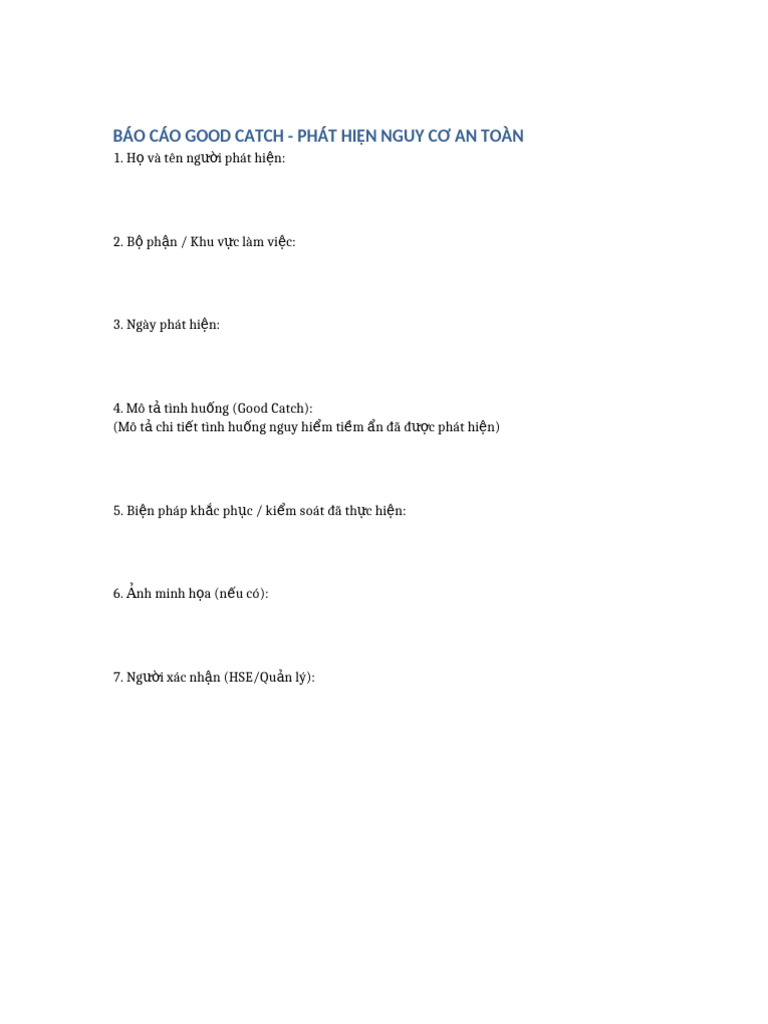 Mau Bao Cao Good Catch | PDF