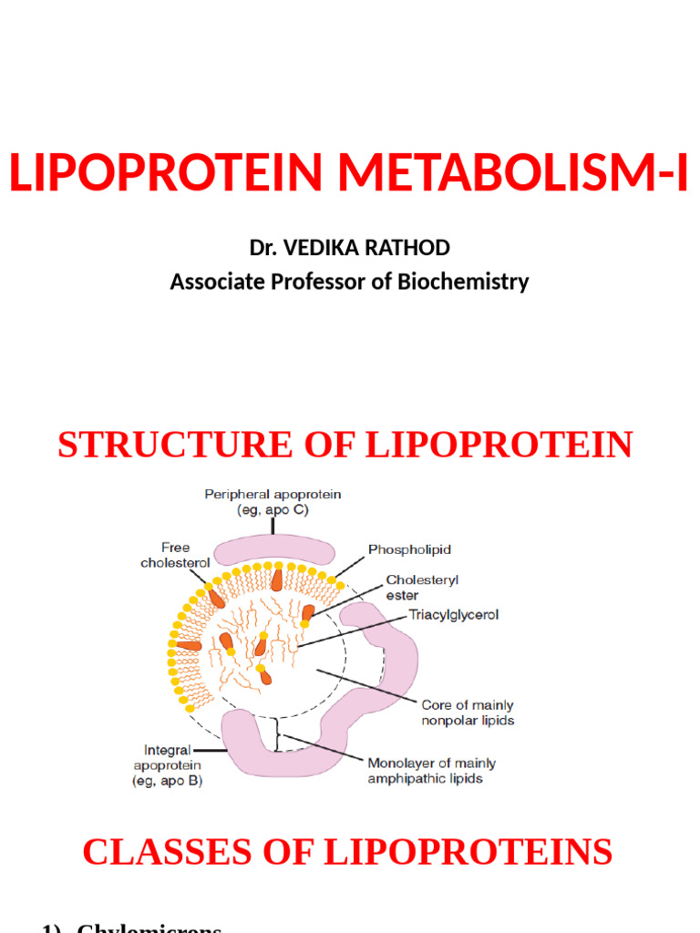 Lipoprotein Metabolism I | PDF