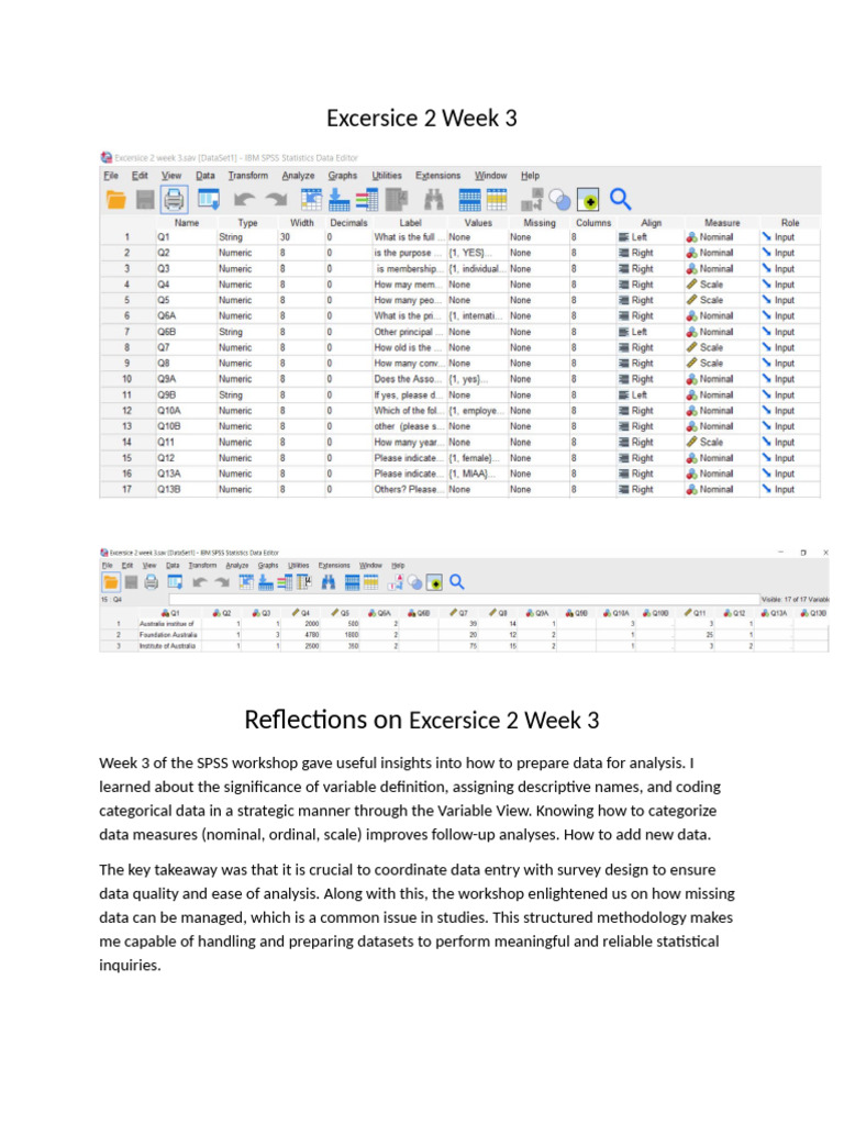 SPSS Data Preparation Insights Week 3 | PDF