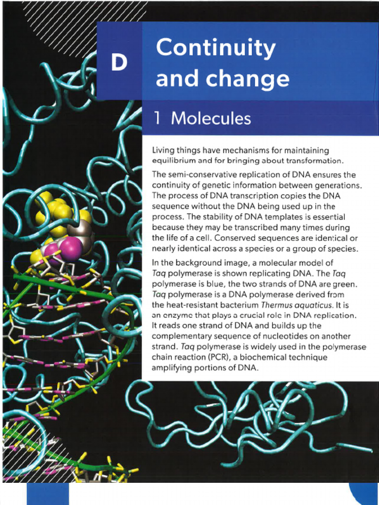 IB Biology HL Molecules | PDF