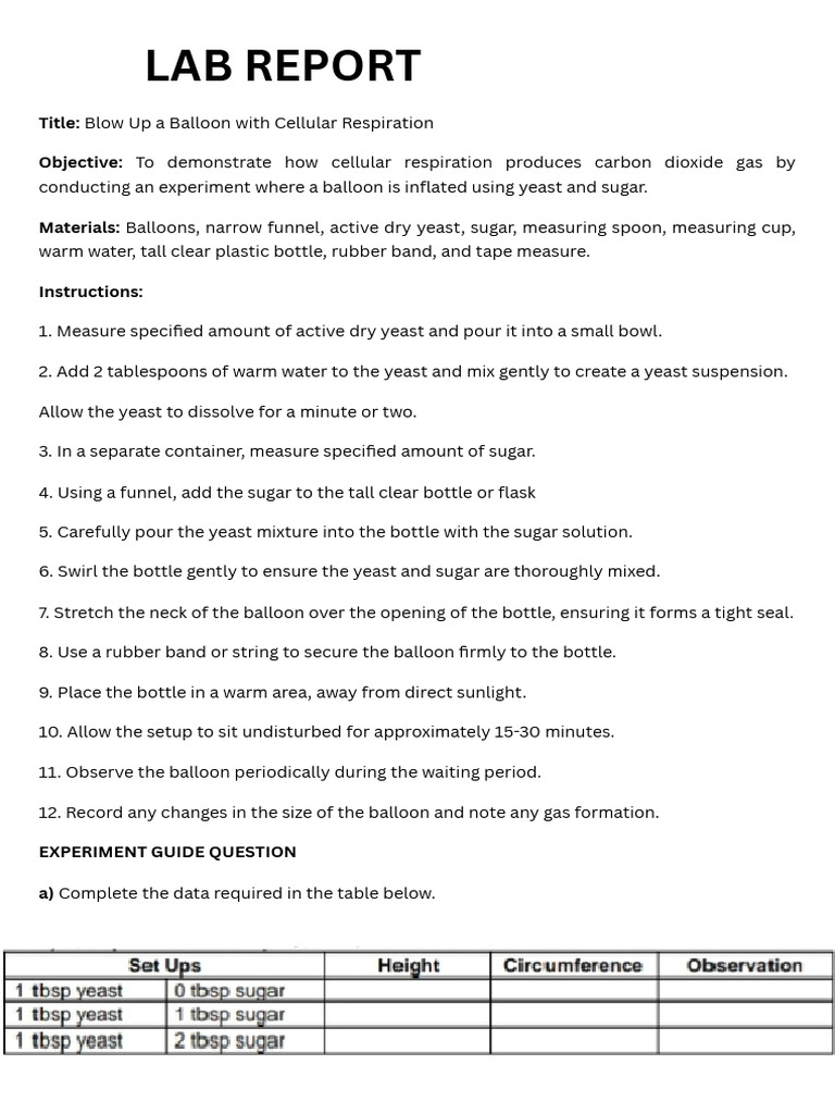 Lab Report - 20241111 - 214655 - 0000 | PDF