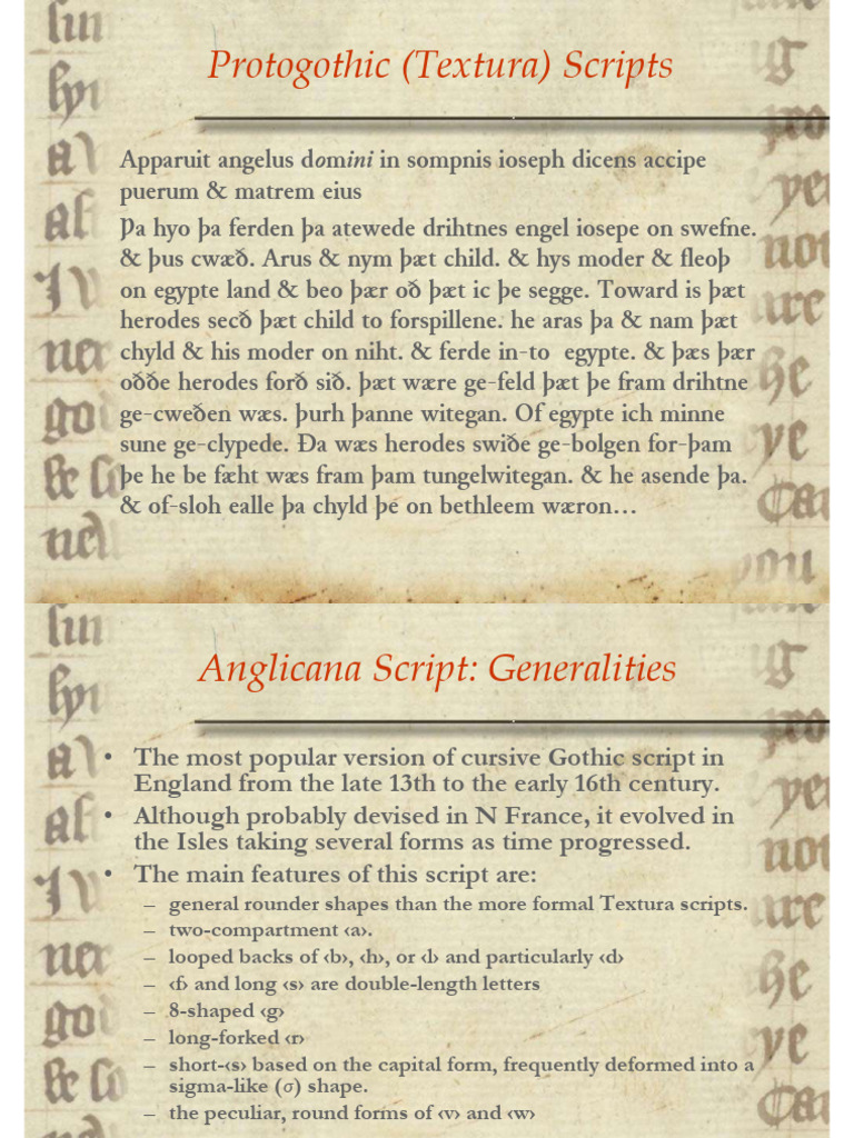 Evolution of Protogothic Scripts | PDF | Writing | Calligraphy