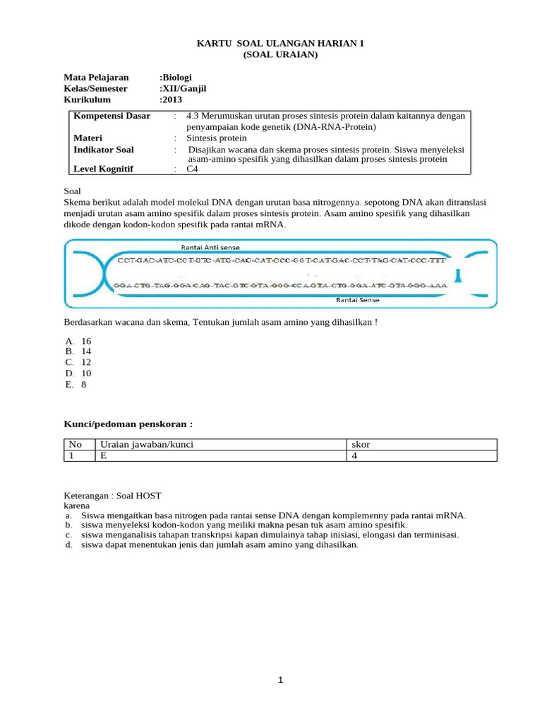 Soal HOTS Sintesis Protein Kelas 12 | PDF