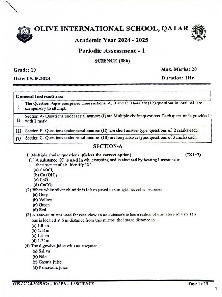 Pq09-Olive - PT01 | PDF