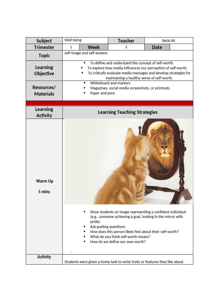 Lesson plan week 3 self worth and media | PDF | Self Esteem | Psychology