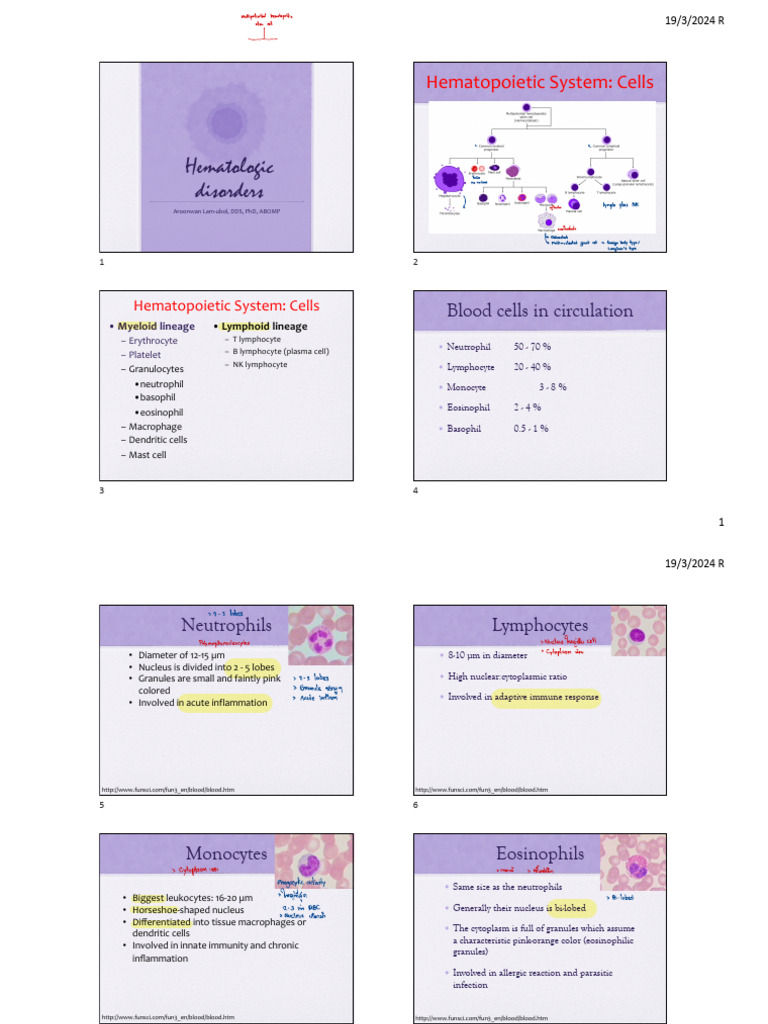 Hematologic Disorders Handout | PDF | White Blood Cell | Haemophilia