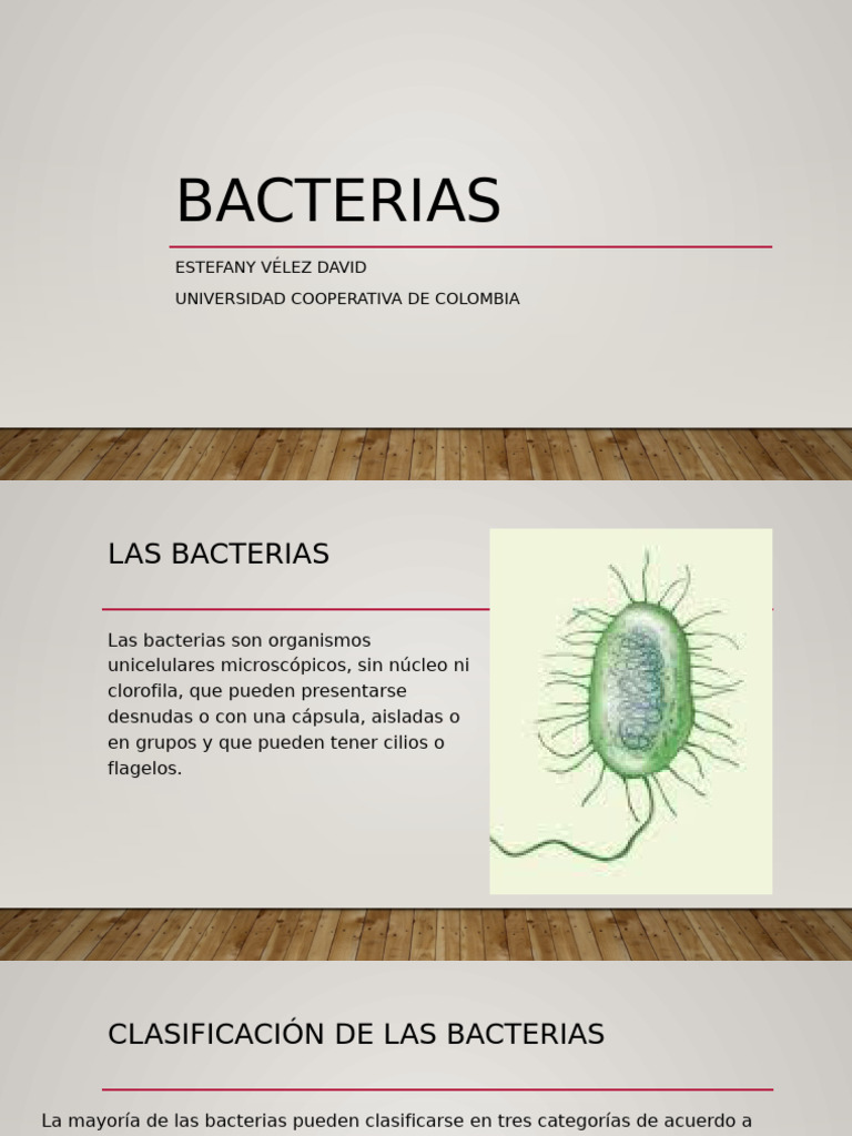 Clasificación y Estructura de Bacterias | PDF | Las bacterias ...