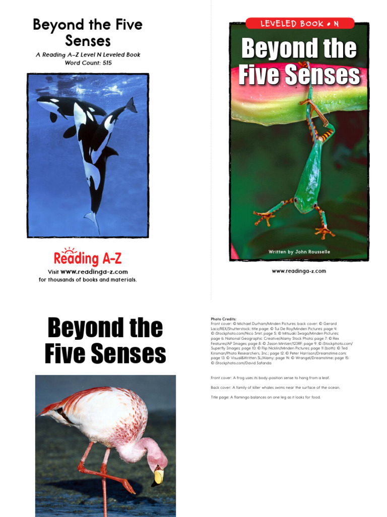 Raz Ln31 Beyondfivesenses CLR | PDF | Senses | Compass