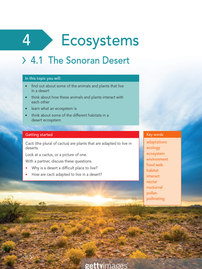 Sonoran Desert Ecosystem Overview | PDF | Desert | Plants