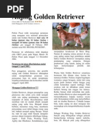Download Anjing Golden Retriever by Martin SoutihonHalomoan Sibarani SN85689640 doc pdf