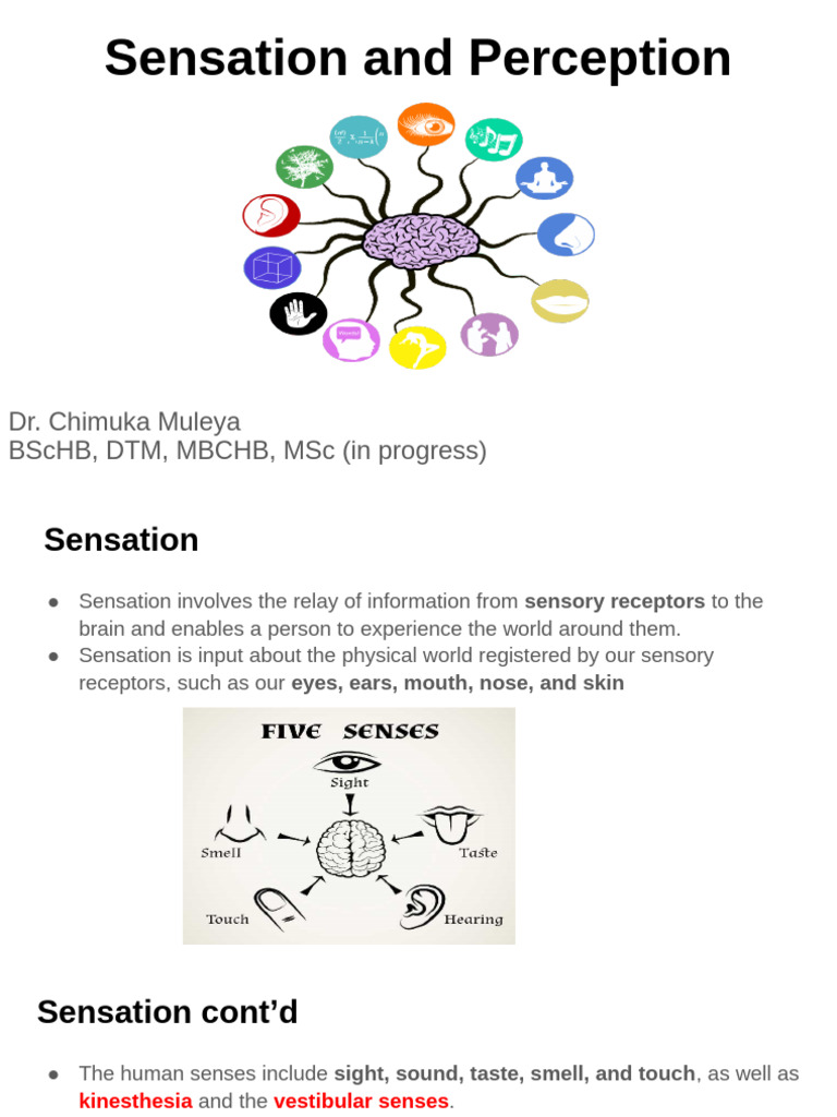 Sensetion and Perception | PDF | Senses | Perception