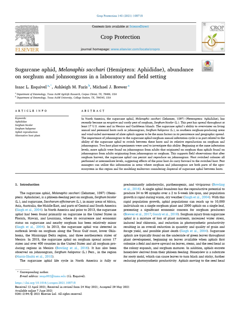 Sugarcane Aphid Impact on Sorghum | PDF | Sugarcane | Plants