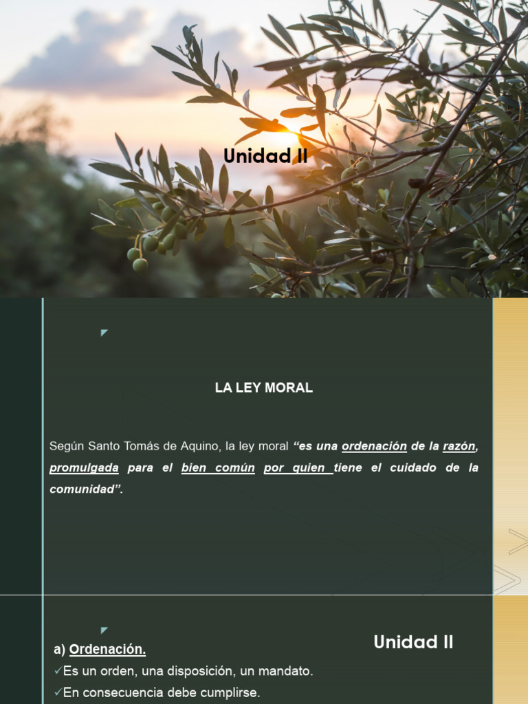 Características de la Ley Moral | PDF | Moralidad | La Ley natural
