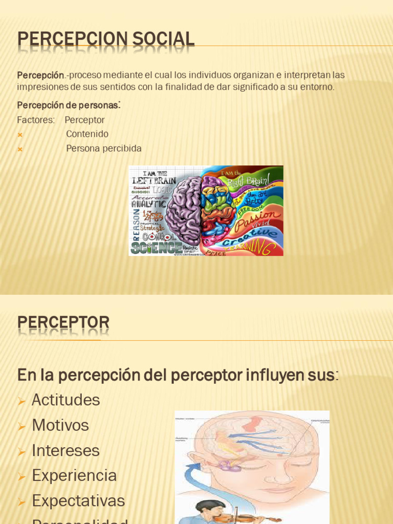 Factores Clave en la Percepción Social | PDF | Percepción | Comportamiento