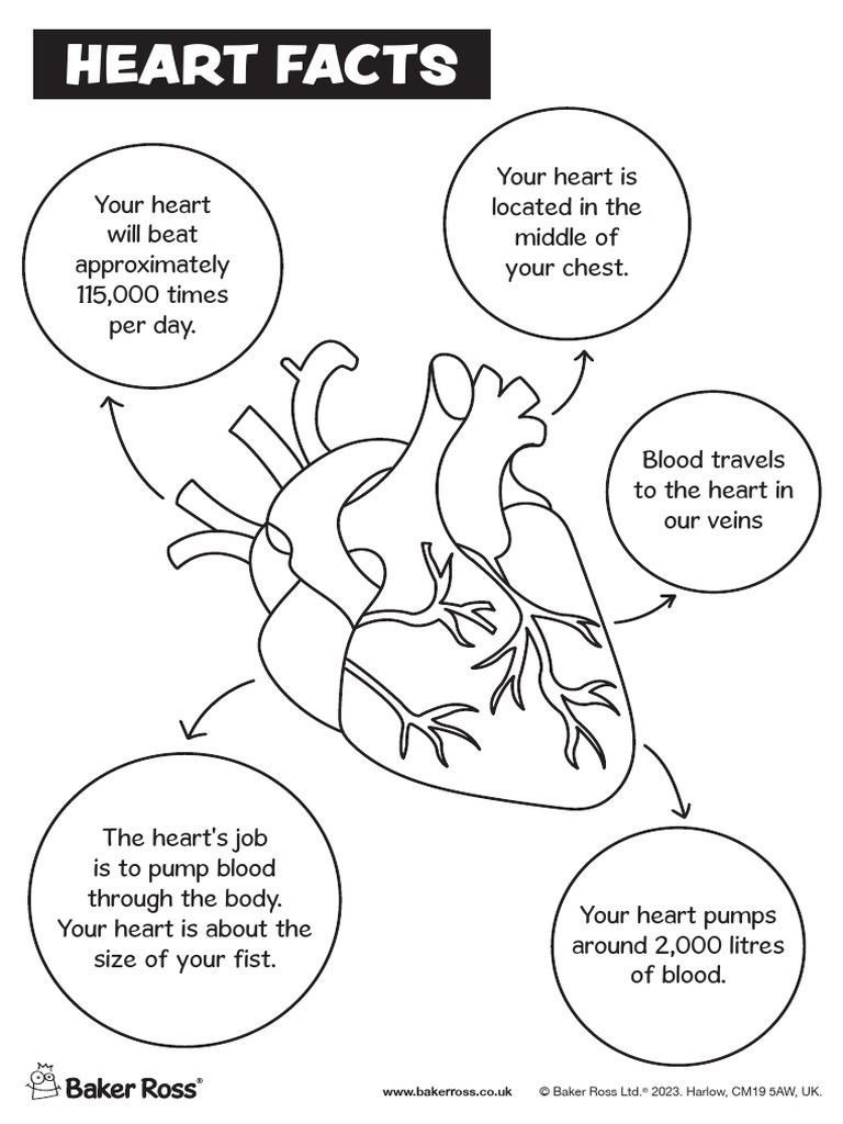 P315 Heart Facts Poster | PDF