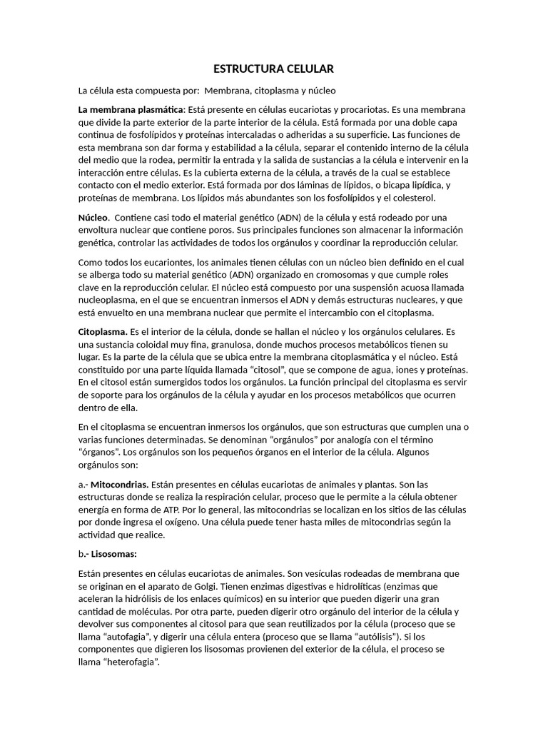 Estructura Celular (4) | PDF | Citoplasma | Biología Celular)