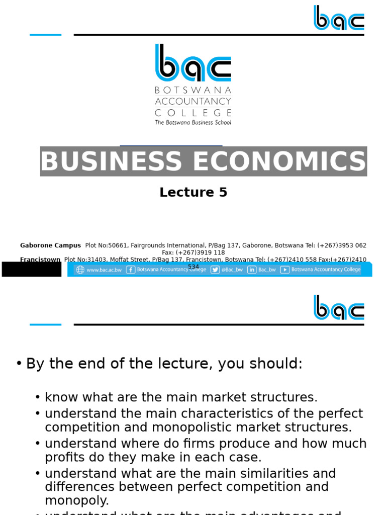 Lecture 5 - Market Structure 1, Perfect Competition and Monopoly 1 ...