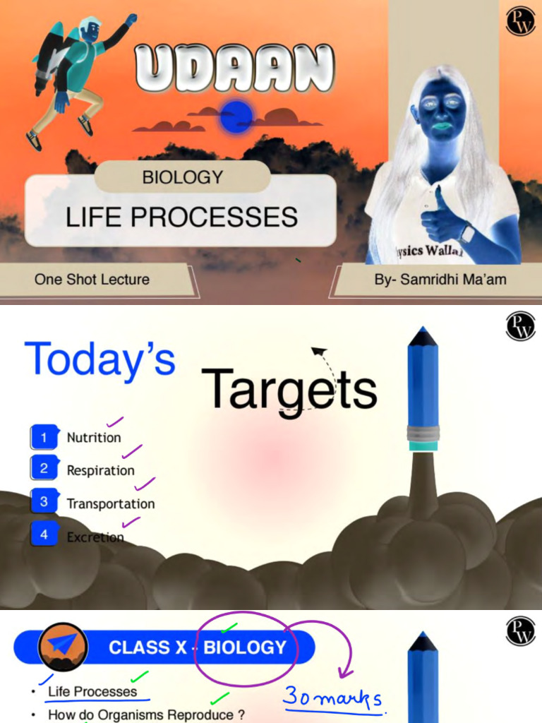 Bio Life Process - Invert | PDF
