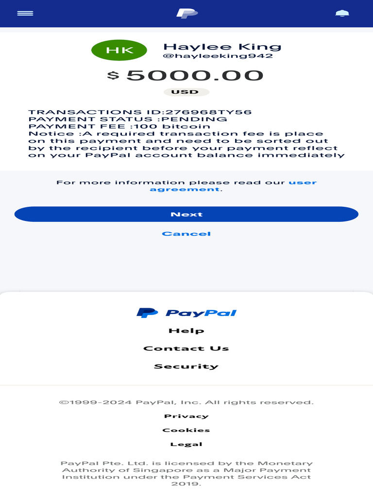 PayPal Make A Payment Preview 13 | PDF