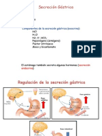 Secreción Gástrica