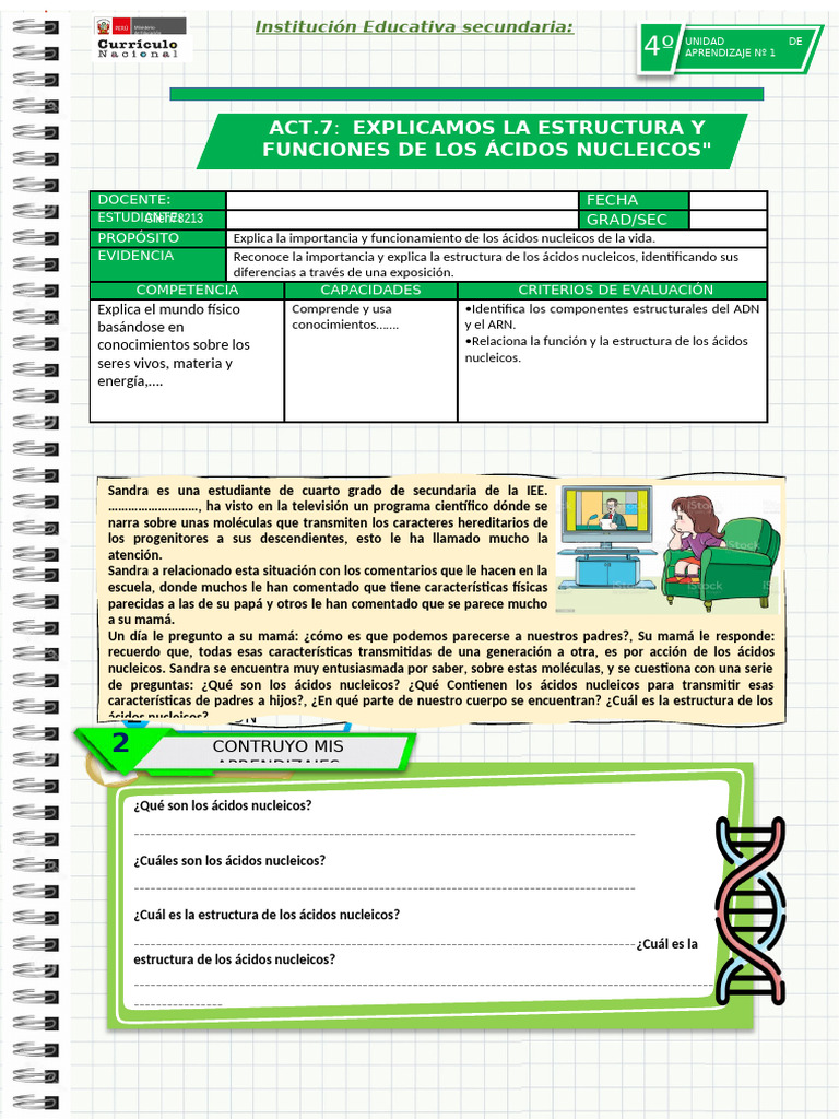Estructura y Función de Ácidos Nucleicos | PDF | Rna | Adn