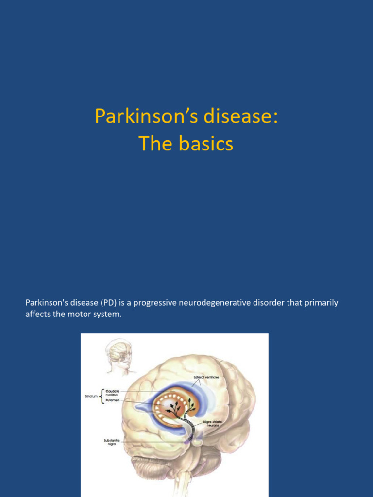 Parkinson’s Disease | PDF | Parkinson's Disease | Dopamine