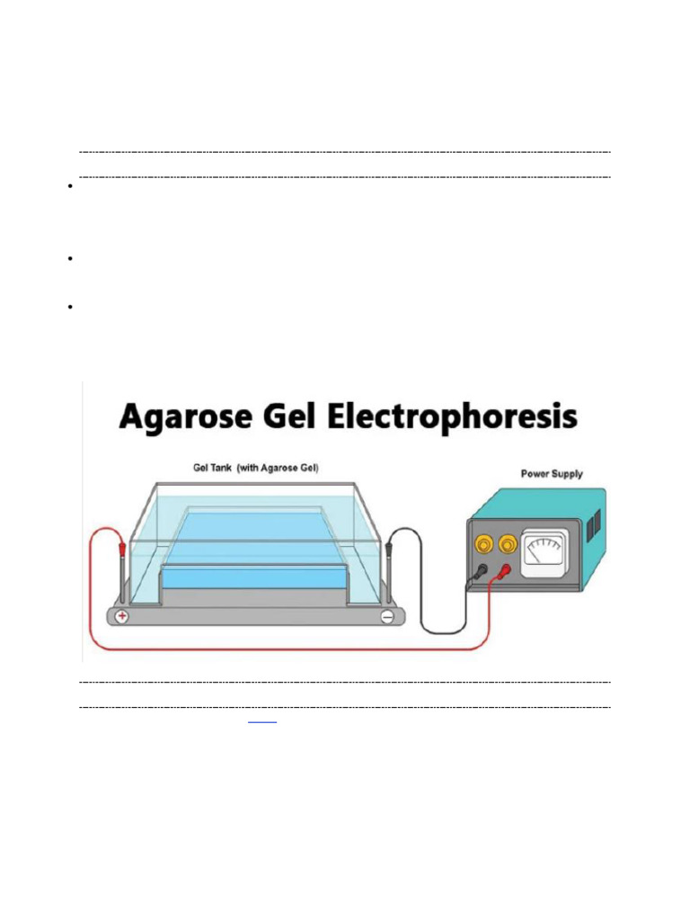 Agarose Gel Electrophoresis Overview | PDF | Agarose Gel ...
