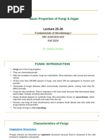 Fungi Characteristics and Classification | PDF | Fungus | Organisms