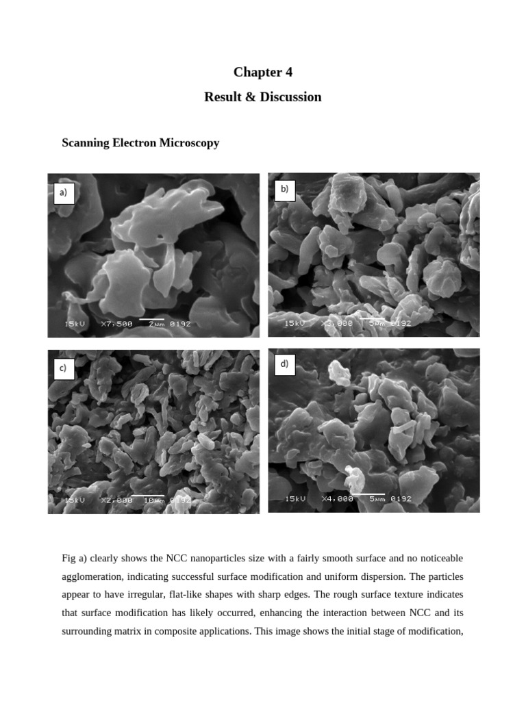 SEM Analysis | PDF | Nanoparticle | Condensed Matter Physics