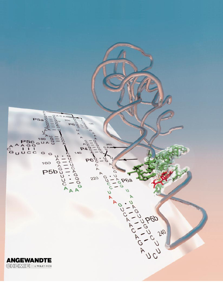 Tertiary Motifs in RNA Structure | PDF | Rna | Base Pair