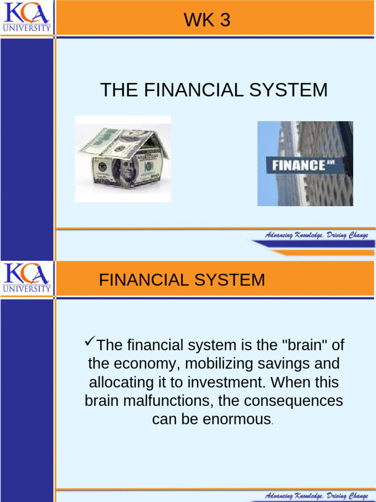 Understanding the Financial System's Impact | PDF | Banks | Rural Poverty