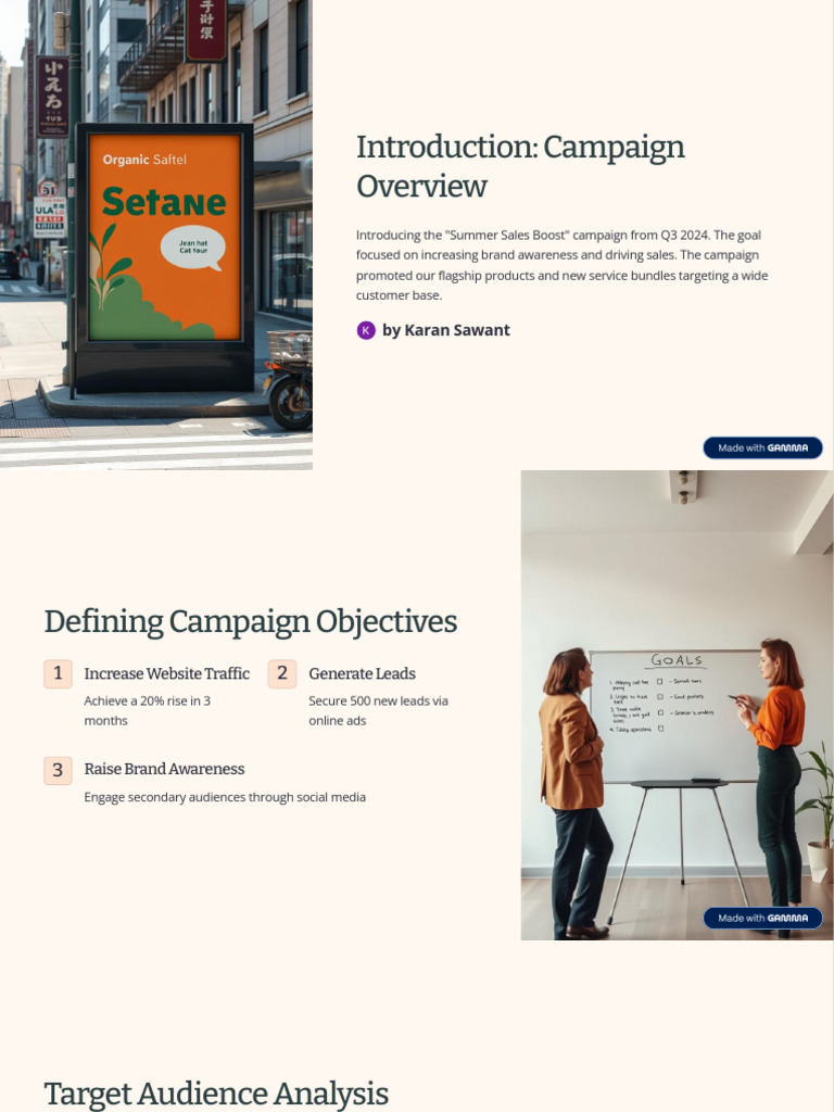 Introduction Campaign Overview | PDF