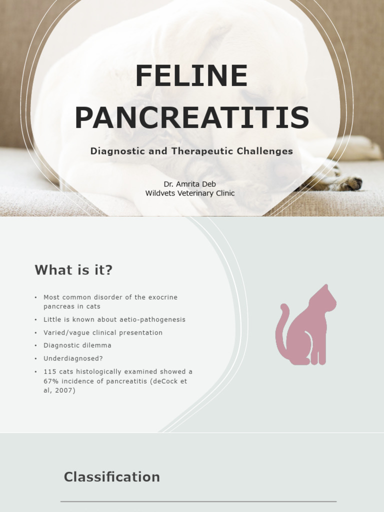 12-Feline Pancreatitis Diagnostic and Therapeutic Challenges | PDF ... - Feline Pancreatitis Prevention And Treatment