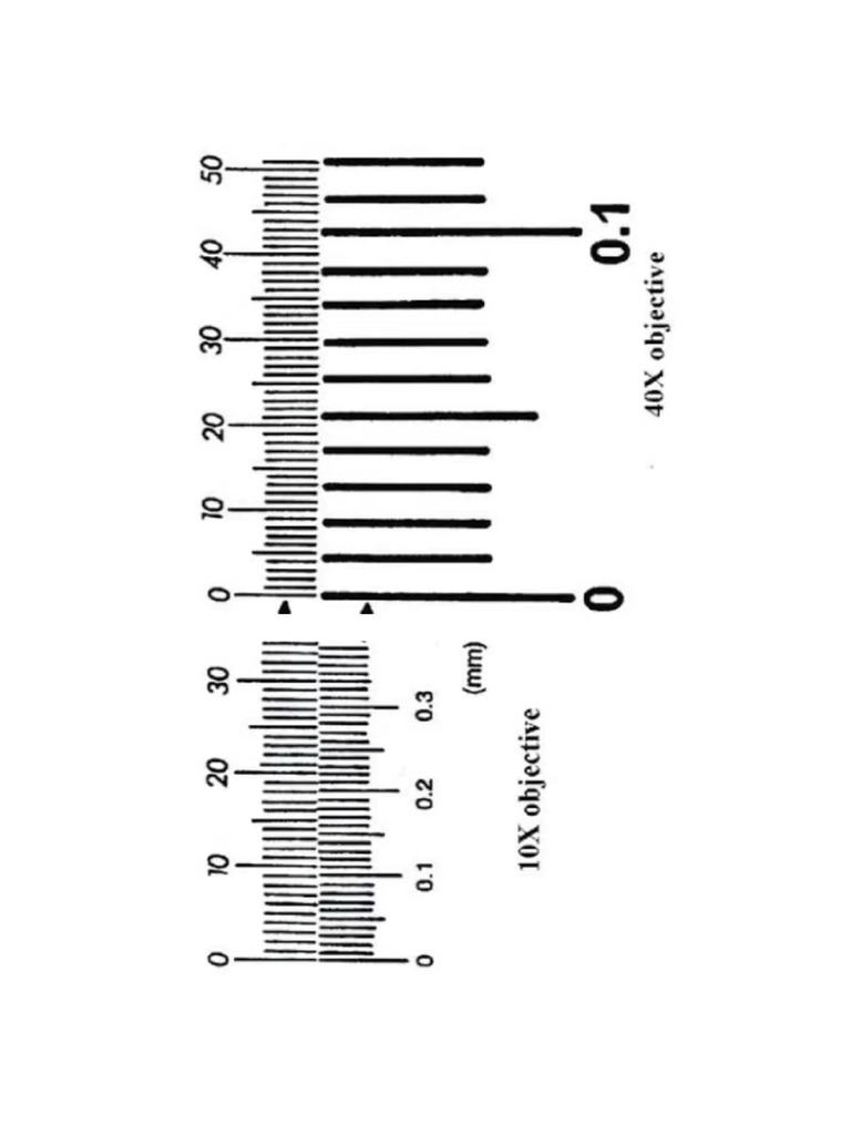Graticule | PDF