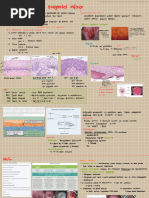 Manejo de LIEBG Persistente en Pacientes | PDF