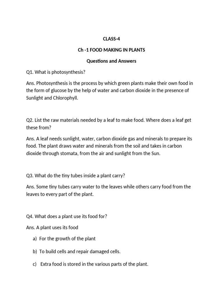 Class 4 - CH1 - Food Making in Plants - Questions and Answers | PDF