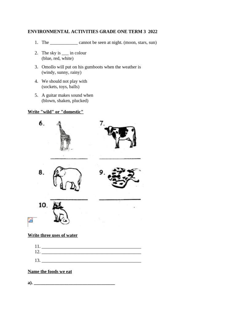 Grade 1 Environmental Activities 2022 | PDF