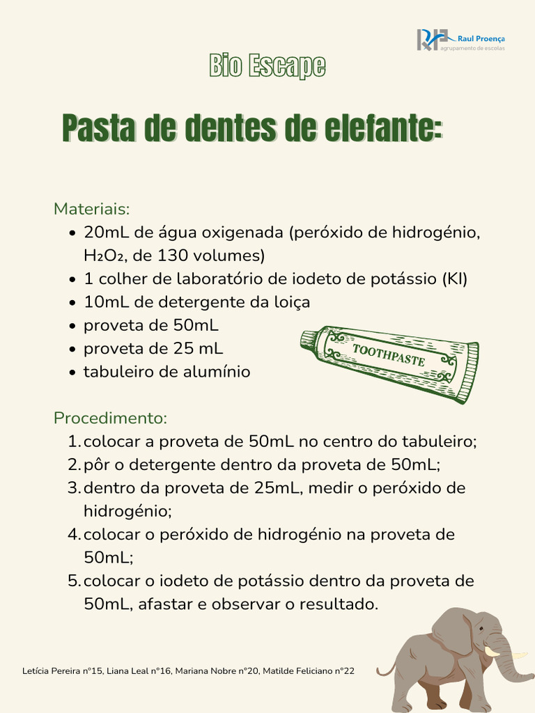 Protocolo Pasta de Dentes de Elefante | PDF