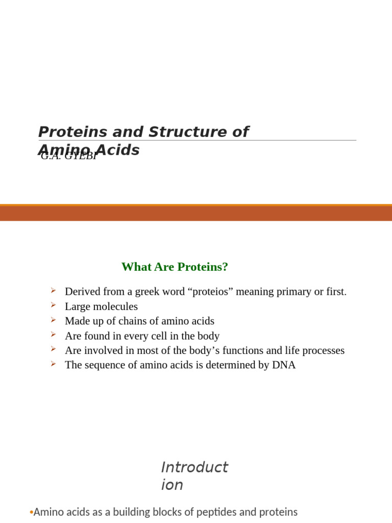 Understanding Proteins and Amino Acids | PDF | Amino Acid | Proteins