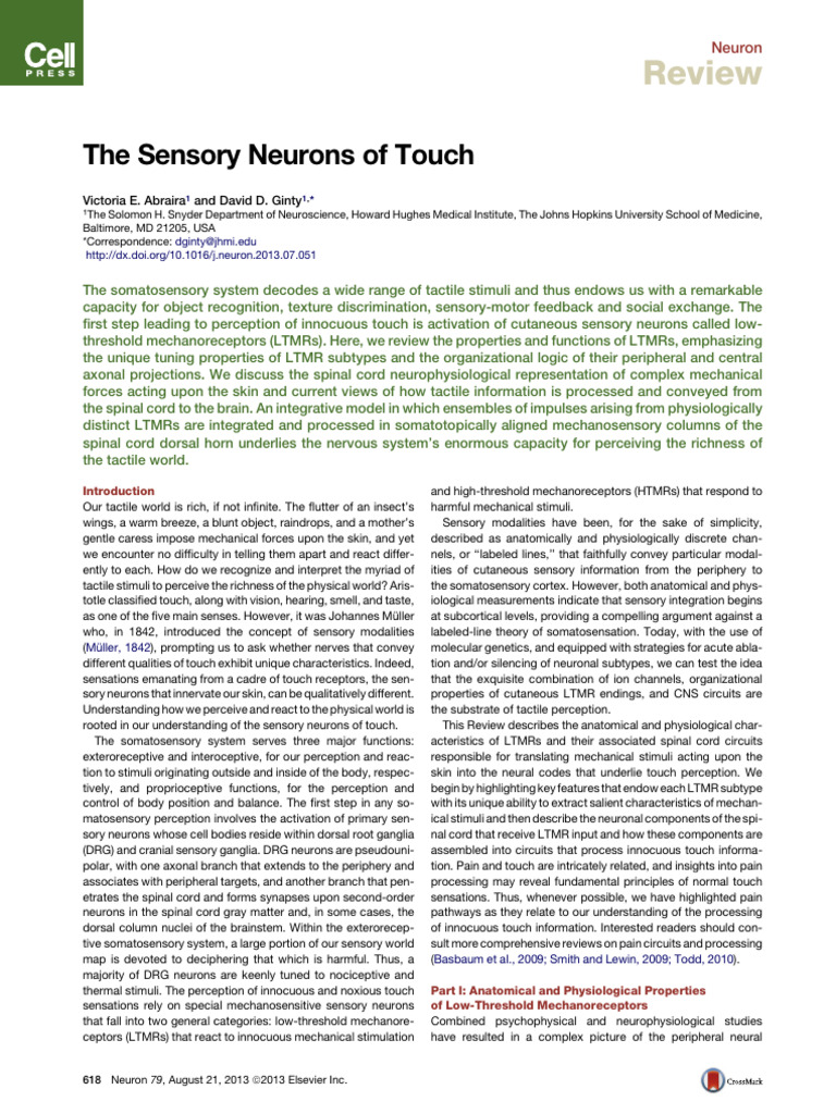 Abraira, V. E., & Ginty, D. D. (2014). The sensory neurons of touch ...