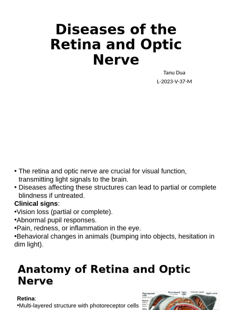 Diseases of The Retina and Optic Nerve | PDF | Retina | Visual Impairment